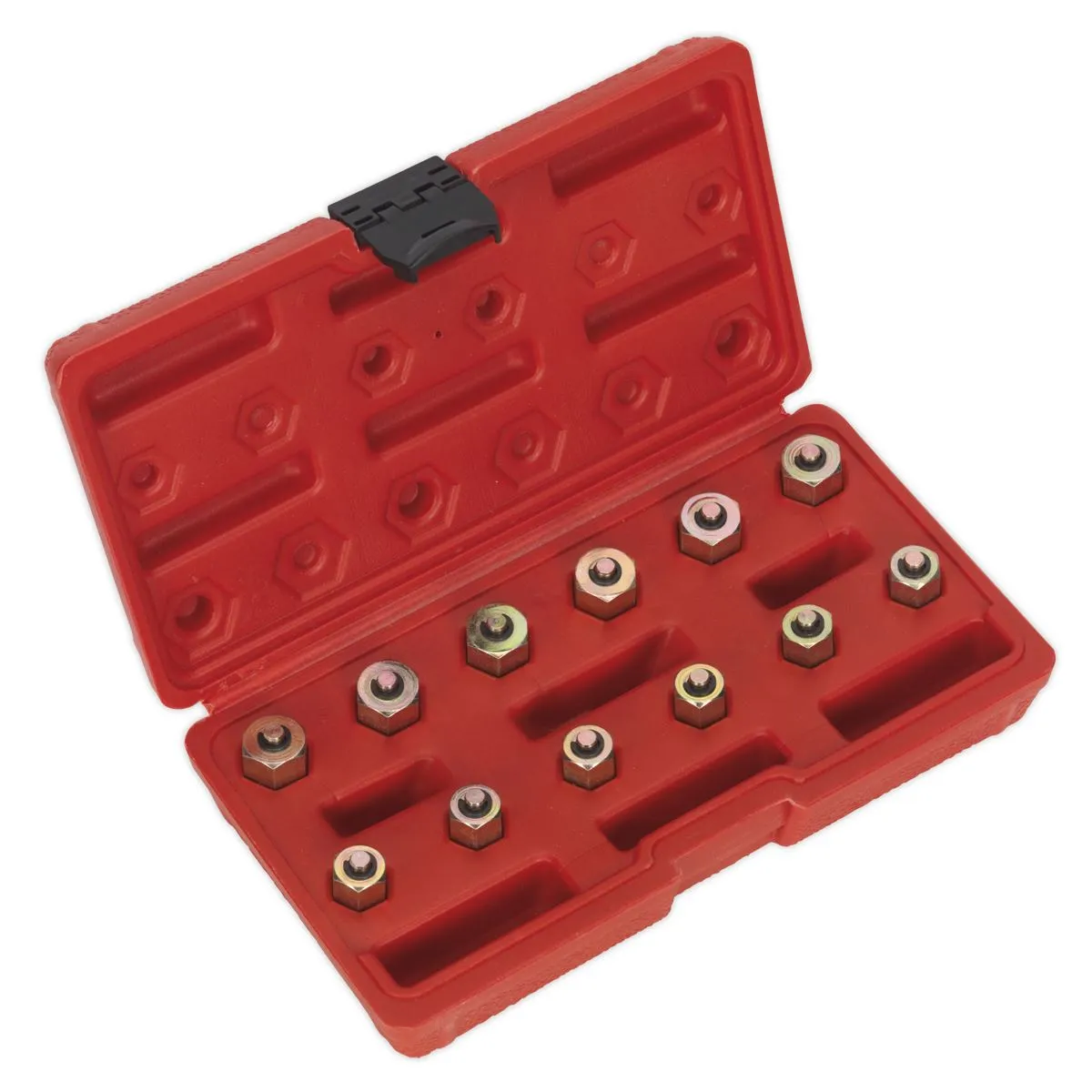 Sealey Diesel High Pressure Pump Test Kit