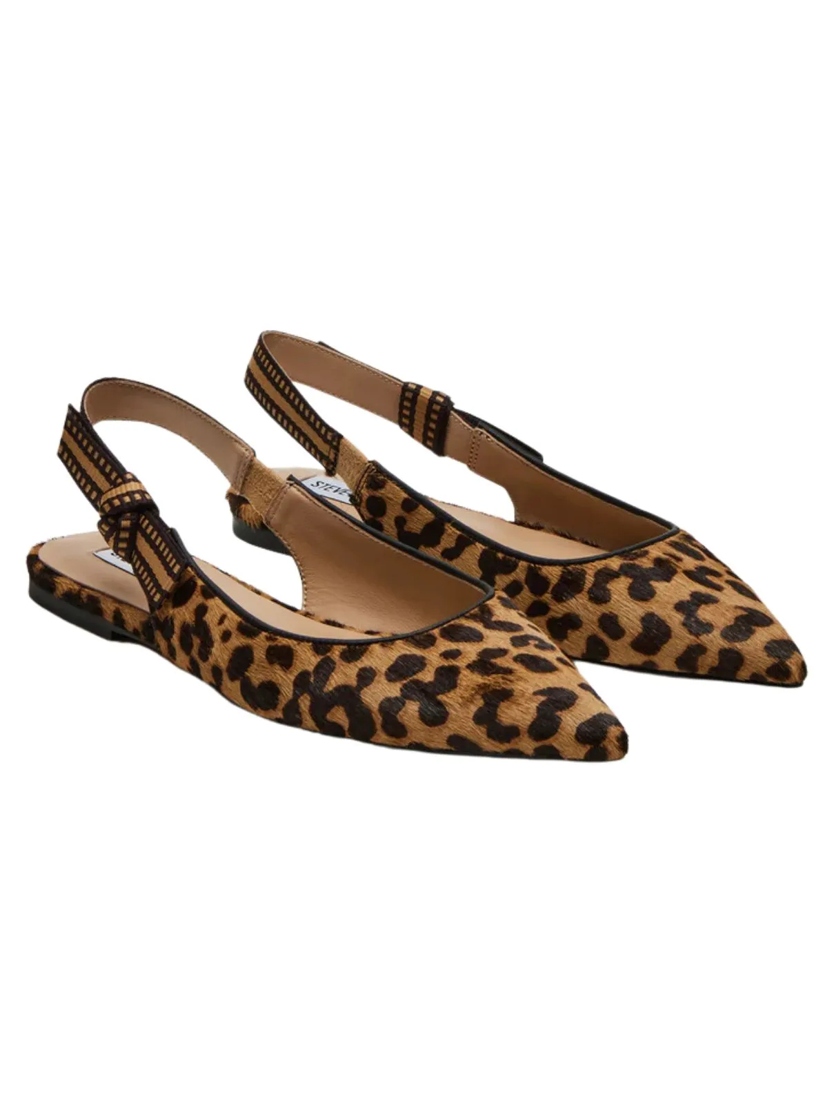 Steve Madden Olsen-A Flat in Leopard